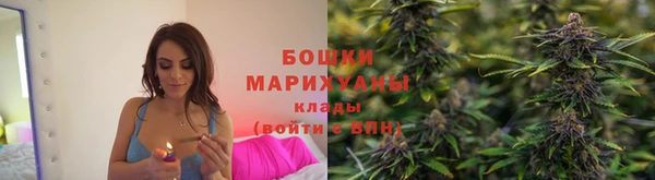 эйфоретик Магас