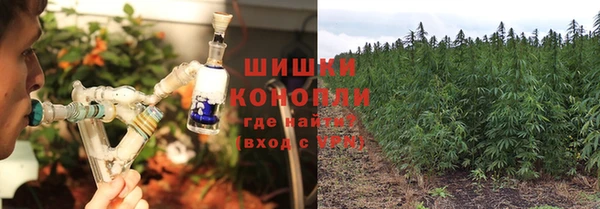 эйфоретик Магас