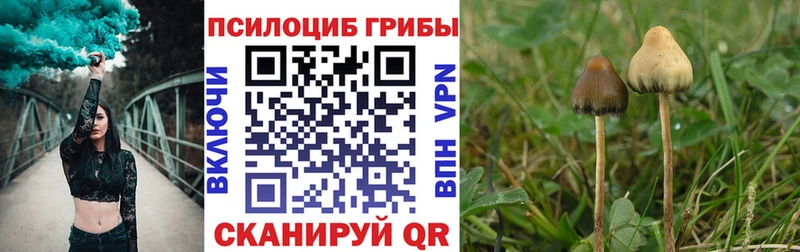 Псилоцибиновые грибы Psilocybe  хочу   Яранск 
